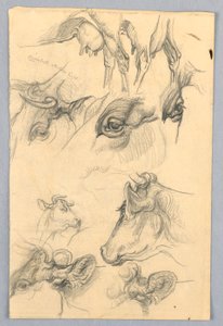 Studies of Cows   1255381   no       norwegian Successfully Translated  Original: Tomyris with the Head of Cyrus Translat: Tomyris with the Head of Cyrus 1251031 no norwegian Successfully Translated Original: ""Esquisse pour peinture a bordure blanche"" (S av Samuel Colman