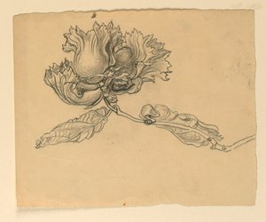 Studie for illustrasjon: Hasselnøtter av Samuel Colman
