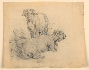 Studie av to værer av Samuel Colman