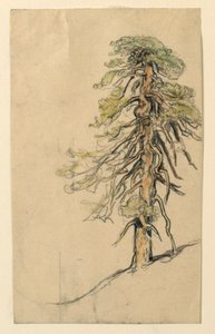 Studie av et tre på en åsside av Samuel Colman