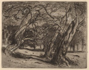 Uten tittel (skogkledd landskap) av Samuel Colman