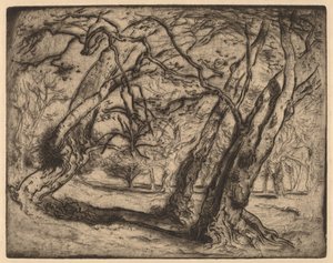Uten tittel (skogkledd landskap) av Samuel Colman