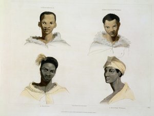 A Hottentot, a Hottentot Woman, a Kaffre, a Kaffre Woman: fire hode- og skuldervignetter, plate 14 fra 