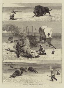 En dag fortsatt på jakt etter nordamerikansk bøffel av Samuel Edmund Waller