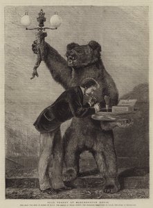 Bear Trophy på Marlborough House av Samuel Edmund Waller