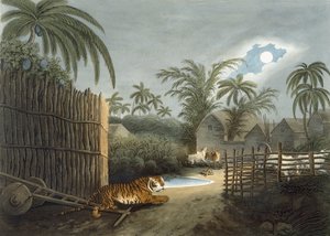 En tiger som går gjennom en landsby (storfe i redsel), fra 