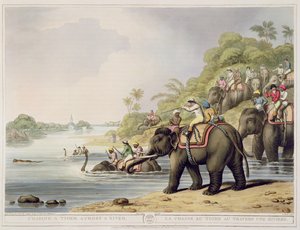 Chasing a Tiger over a River, fra Oriental Field Sports, pub. av Edward Orme, 1807 (trykk)