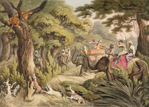 Shooting A Leopard, fra Oriental Field Sports, pub. av Edward Orme, 1807 (trykk)