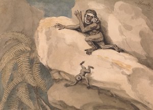 En ape og unge av Samuel Howitt