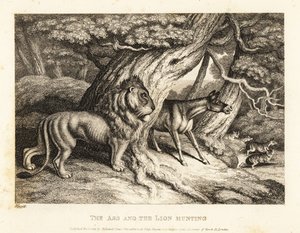 Et esel braser høyt mot byttet mens han jakter med en løve. 1811 (etsing)