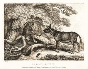 Jahangir, 17th century.    1206396   no       norwegian Successfully Translated  Original: Le Charge d Translat: Le Charge d 1334293 no norwegian Successfully Translated Original: Horse with Head Lowered, 1880searly 1890s. Translat: Keizerskroon, orchidee 