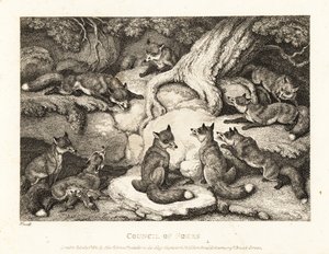 En flokk med rever møtes i en skog. 1811 (etsing)