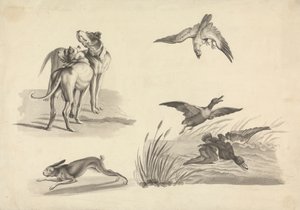 Ark med studier av hunder, hare, falk og ender av Samuel Howitt