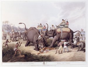 Den døde tigeren; Mort du tigre, 1807