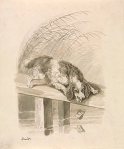Hunden og Skyggen av Samuel Howitt