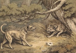 Hunden og ulven av Samuel Howitt