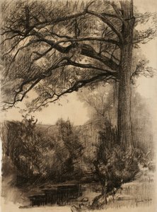 Landskap med stort tre, 1884 (kull på brunfarget papir)