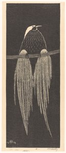 Bird of Paradise (original tittel) av Samuel Jessurun de Mesquita