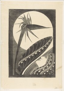 Bleknet strelitzia av Samuel Jessurun de Mesquita
