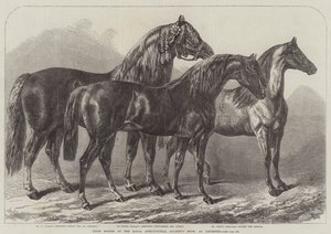 Premiehester på Royal Agricultural Society