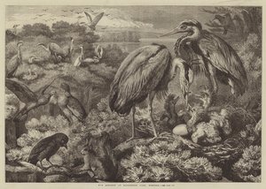 Heronry ved Didlington Park, Norfolk av Samuel John Carter