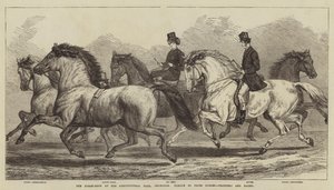 Horse-Show på Agricultural Hall, Islington, Parade of Prize Horses, Trotters and Hacks av Samuel John Carter