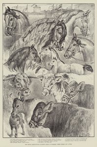 The Royal Agricultural Society