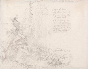 Revehansker av Samuel Palmer