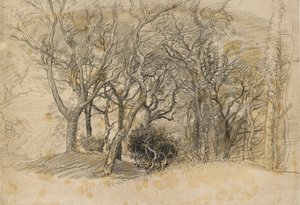 Studie av trær, Clovelly Park, 1834 av Samuel Palmer