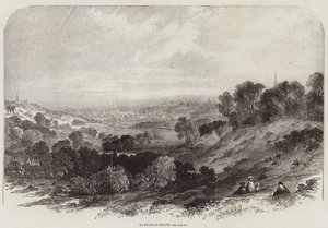 Hampstead-Heath av Samuel Read