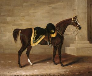 København, laderen til hertugen av Wellington ved Waterloo