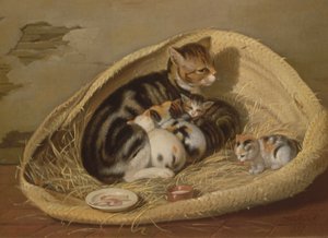 Katt med kattungene sine i en kurv, 1797
