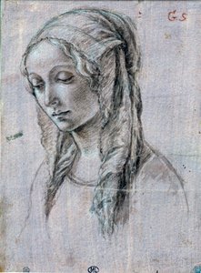 Ung kvinnes hode”” Penseltegning og hvite klaffer tilskriver Alessandro di Mariano dei Filipepi dit Sandro Botticelli (1445-1510) Paris fra 1400-tallet, Louvre-museet av Sandro (attr. to) Botticelli