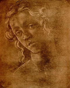 Kvinnelig hode av Sandro Botticelli