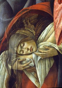 Klagesang over den døde Kristus, detalj av Maria Magdalena, 1490-1500 detalj av 44244