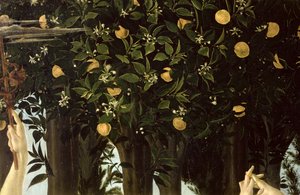 Primavera, detalj av appelsintreet, c.1478 tempera på panel av Sandro Botticelli