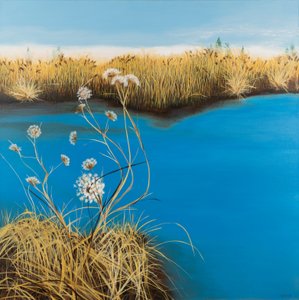  av Sandy Iseli