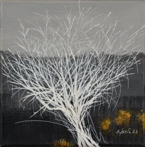  av Sandy Iseli