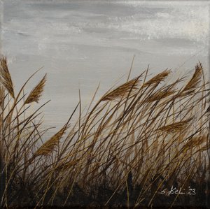  av Sandy Iseli