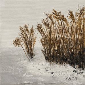  av Sandy Iseli