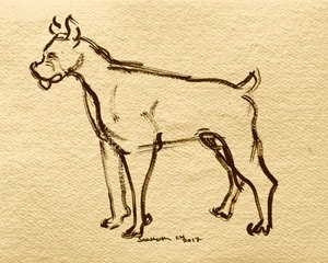 Skisse av en bokserhund av Santhosh ch
