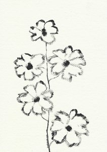 Blomsterskisse med kull av Santhosh ch