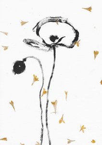 Elegante svarte valmuer av Santhosh ch