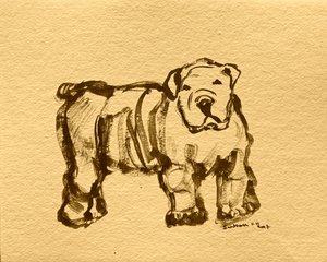 Uttrykksfull bulldogskisse av Santhosh ch