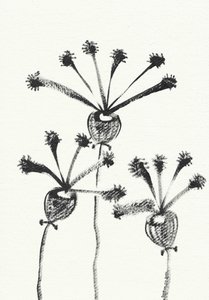Minimalistisk botanisk tegning av Santhosh ch