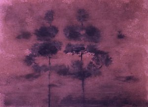 Tåkete lilla skog av Santhosh ch