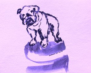 Skisse av en lilla bulldog av Santhosh ch