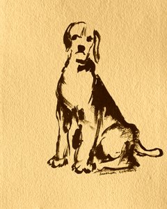 Skisse av en sittende beagle av Santhosh ch