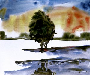 Solnedgang og treets speilbilde av Santhosh ch