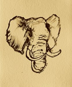 Tegning av vill elefant av Santhosh ch